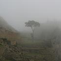 Peru 1223